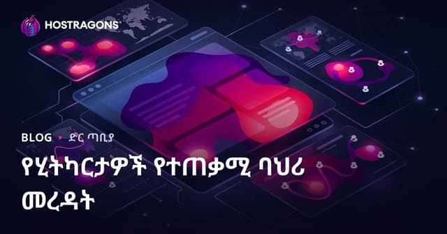 የሂትካርታዎች የተጠቃሚ ባህሪ መረዳት