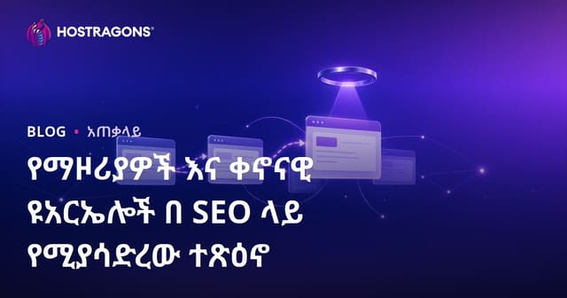 Redirect እና Canonical URL ለSEO ውጤት በውስጥ ያላቸው ሀብት ፡ መዘዝ