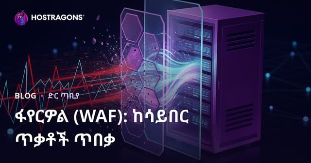 የመከላከያ ግንዛቤ (WAF)፡ የሲበር ተደጋጋፊነት እና የድር ደህንነት መፍትሄዎች