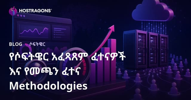 የሶፍትዌር ፎርፍማንስ ሙከራዎችና የትርፍ ብዛት ሙከራ ምክንያቶች እና መተማመኛ ዘዴዎች
