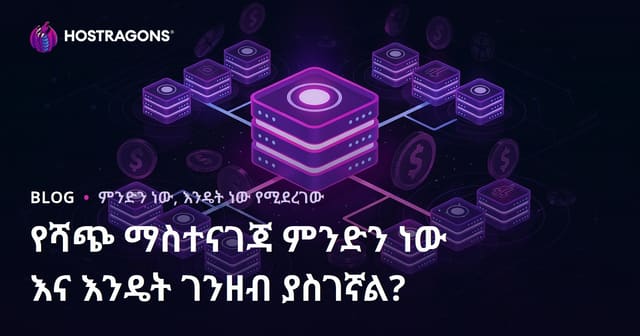 የሻጭ ማስተናገጃ ምንድን ነው እና እንዴት ገንዘብ ያስገኛል?