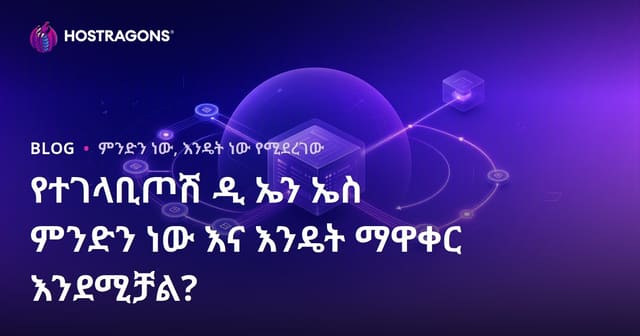 Reverse DNS ምንድነው እና ለኢፒ አድራሻዎ Reverse DNS እንዴት ይዘጋጃል?