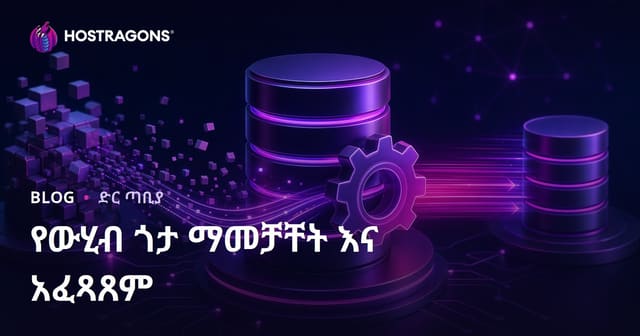 የውሂብ ባዶ እና አፈጻጸም አያያዝ ምርቃን መመሪያ