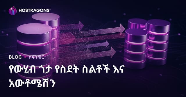 Database Migration የዳታቤዝ ማውጫ እና አውቶሜሽን ምርጫዎች