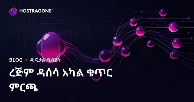 የዘረፋ ቁስ ቃላት (Long-Tail Keywords) በአማራጭ የSEO ውጤት ምርት ማግኘት ምክንያት