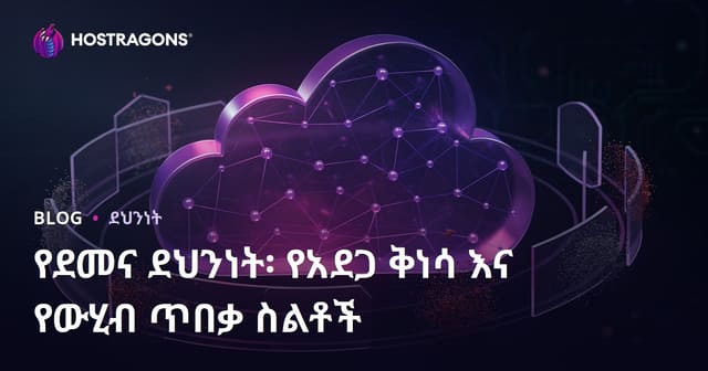 የደመና ደህንነት፡ የአደጋ ቅነሳ እና የውሂብ ጥበቃ ስልቶች