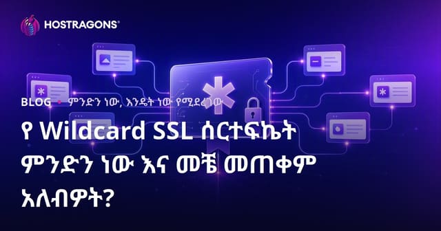 Wildcard SSL ማህደር ማስረጃ ምንድነው፣ መቼ እንደሚጠቀምበት የተሟሟ መመሪያ