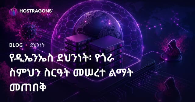 DNS እድልና ደህንነት: የድህረ ገፅ ስም ሲስተምን በአማካይ አውታረ መረብ ምትገባ