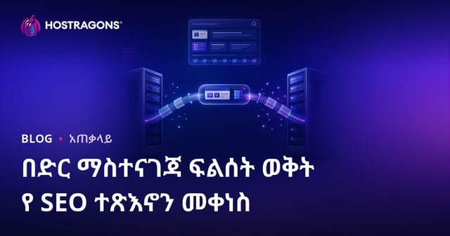 የWeb Hosting ማቅረብ ሲሆን SEO አፍሳሽን ከፍ እንዳይሆን ምን ይደርገያል?
