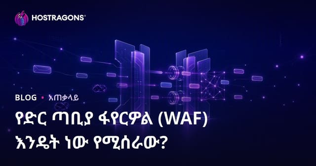 የድህረ ገፅ ማስተናገድ እና WAF የመከላከያ መስተዳድር ጥቅሞችና ካሳ