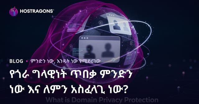 የጎራ ግላዊነት ጥበቃ ምንድን ነው እና ለምን አስፈላጊ ነው?