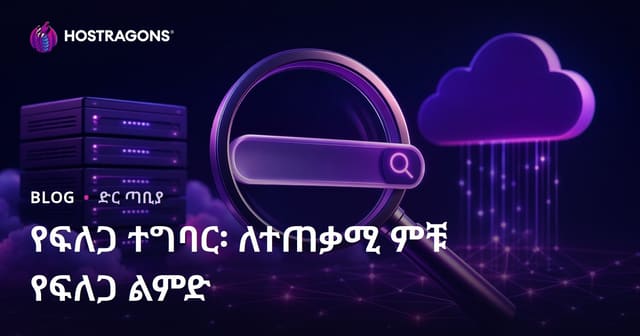 የመፈለጊያ ባህሪ፡ ለመጠቀም ቀላል የመፈለጊያ ልምድ እንዴት እንደሚፈጠር