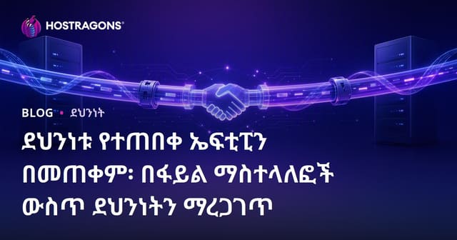 ደህንነቱ የተጠበቀ ኤፍቲፒን በመጠቀም፡ በፋይል ማስተላለፎች ውስጥ ደህንነትን ማረጋገጥ