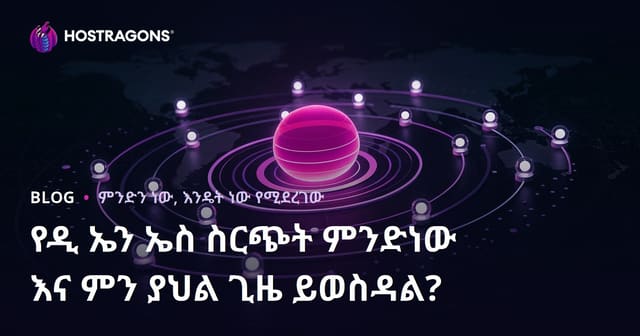 DNS ተሰራሽነት ምንድነው? የዳሰሳ DNS ፍጥነትና ግዜ ዝርዝር