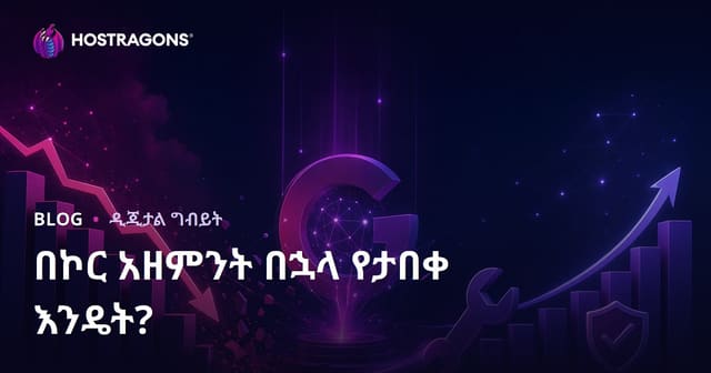 Google አልጎሪዝም ዘርፍ ማደስ (Core Update) በኋላ ትራፊክ እንዴት ይመረምረታል?