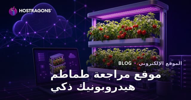 دليل إقامة موقع مراجعة حول زراعة الطماطم الذكية في البيوت المائية فقط