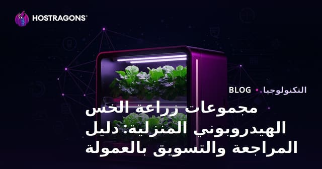 مجموعات زراعة الخس الهيدروبوني المنزلية: دليل المراجعة والتسويق بالعمولة