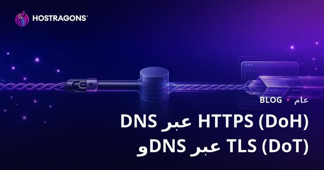 DNS عبر HTTPS (DoH) وDNS عبر TLS (DoT)
