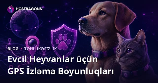 Ev Heyvanları Üçün GPS İzləmə Boyunbağaları: Təhlükəsizlik və Performans Baxışı