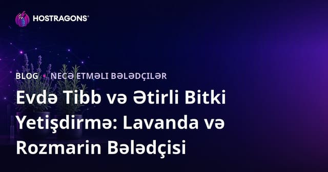 Evdə Tibb və Ətirli Bitki Yetişdirmə: Lavanda və Rozmarin Bələdçisi