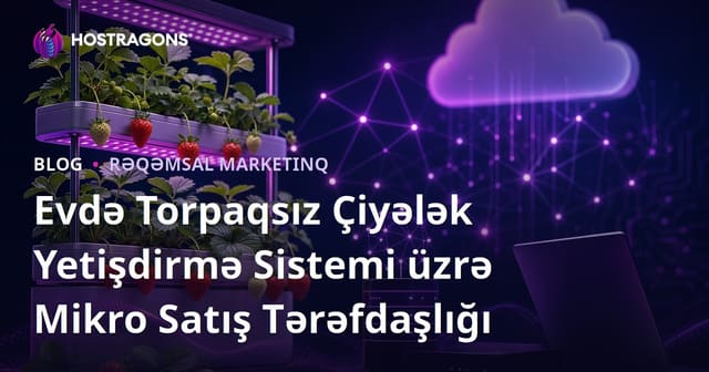 Evdə Torpaqsız Çiyələk Yetişdirmə Sistemi üzrə Mikro Satış Tərəfdaşlığı