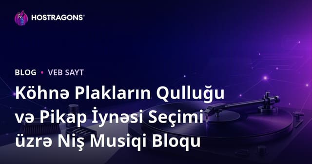 Köhnə Plakların Qulluğu və Pikap İynəsi Seçimi üzrə Niş Musiqi Bloqu