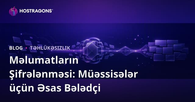 Məlumatların Şifrələnməsi: Müəssisələr üçün Əsas Bələdçi