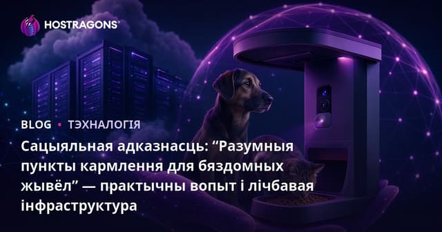Сацыяльная адказнасць: “Разумныя пункты кармлення для бяздомных жывёл” — практычны вопыт і лічбавая інфраструктура