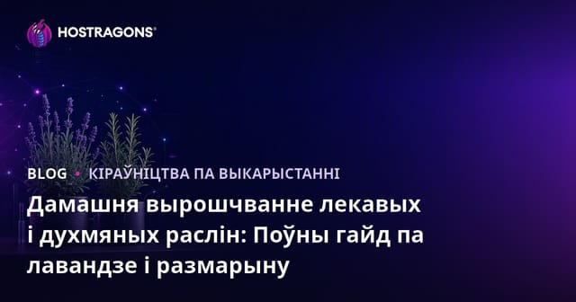Дамашня вырошчванне лекавых і духмяных раслін: Поўны гайд па лавандзе і размарыну