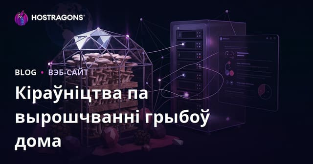 Нішавы сайт пра вырошчванне грыбоў дома: вешанка і труфель, экспертыза і SEO для Беларусі
