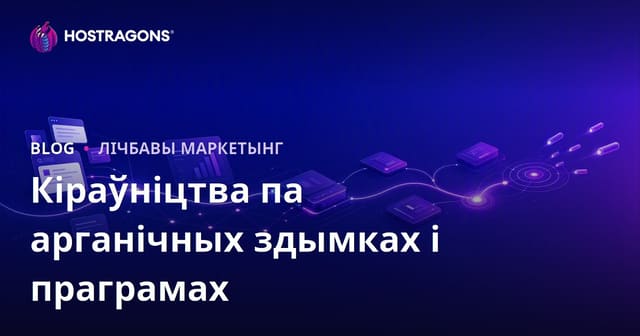 Кіраўніцтва па арганічным павелічэнні наведвальнасці