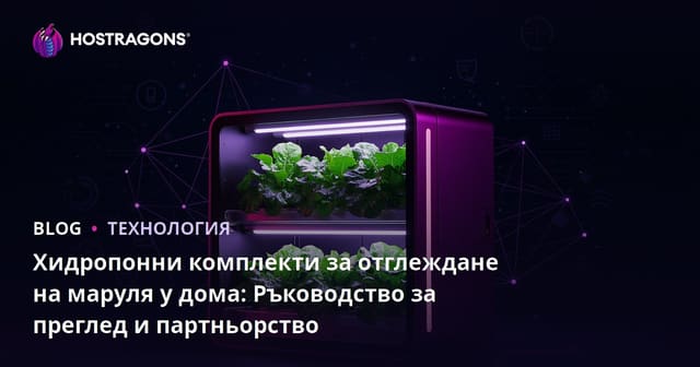 Хидропонни комплекти за отглеждане на маруля у дома: Ръководство за преглед и партньорство