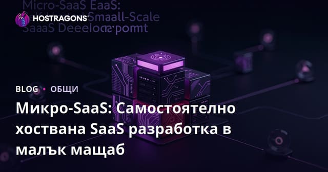 Micro-SaaS: Самостоятелно хоствани маломасштабни SaaS решения