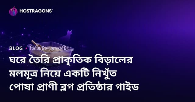ঘরে তৈরি প্রাকৃতিক বিড়ালের মলমূত্র নিয়ে একটি নিখুঁত পোষা প্রাণী ব্লগ প্রতিষ্ঠার গাইড