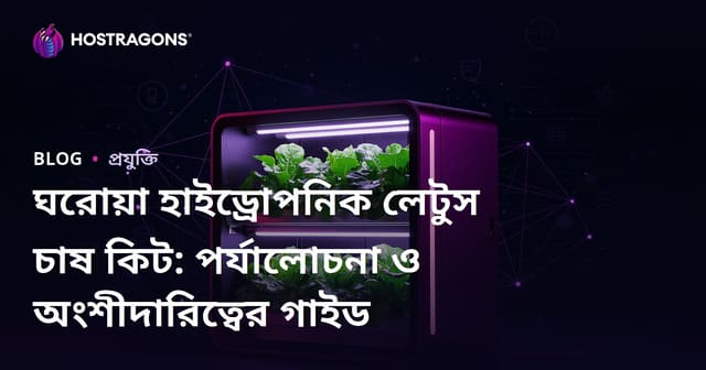 ঘরোয়া হাইড্রোপনিক লেটুস চাষ কিট: পর্যালোচনা ও অংশীদারিত্বের গাইড