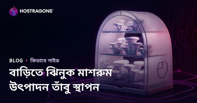 বাড়িতে মাশরুম উৎপাদনের জন্য তাঁবু স্থাপন: ধাপে ধাপে গাইড
