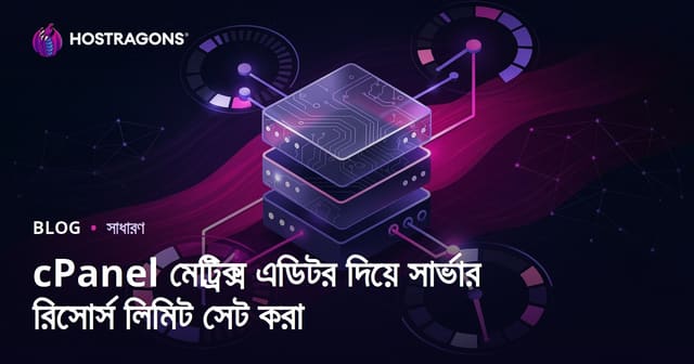 cPanel মেট্রিক্স এডিটর দিয়ে সার্ভার রিসোর্স লিমিট সেট করা