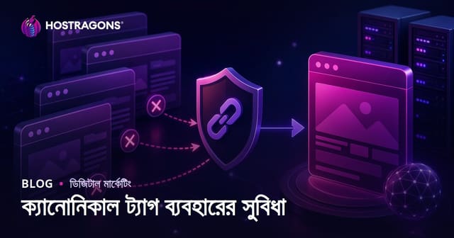 ওয়েবসাইটের ডুপ্লিকেট URL সমস্যা সমাধান: ক্যাননিকাল ট্যাগ ব্যবহারের পূর্ণ গাইড