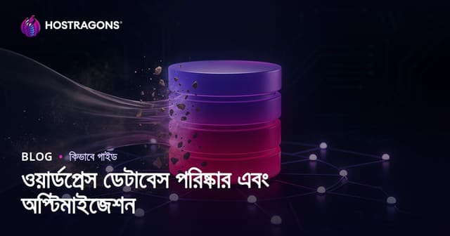 ওয়ার্ডপ্রেস ডেটাবেস ক্লিনিং ও অপটিমাইজেশন কিভাবে করবেন