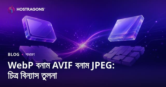 WebP, AVIF ও JPEG: কোন ছবি ফরম্যাট আপনার ওয়েবসাইটের জন্য সেরা?