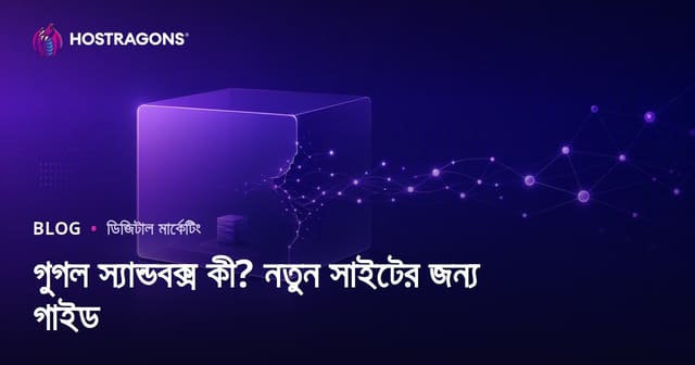 গুগল স্যান্ডবক্স কী? নতুন ওয়েবসাইট স্যান্ডবক্স থেকে দ্রুত বের হওয়ার উপায়