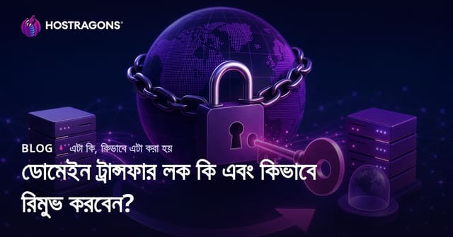 ডোমেইন ট্রান্সফার লক কি এবং কিভাবে রিমুভ করবেন?