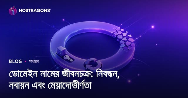 ডোমেইন নামের জীবনচক্র: নিবন্ধন, নবায়ন এবং মেয়াদোত্তীর্ণতা
