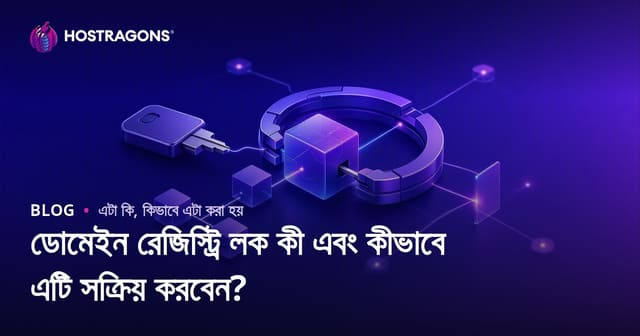 ডোমেইন রেজিস্ট্রি লক কী এবং কীভাবে এটি সক্রিয় করবেন?