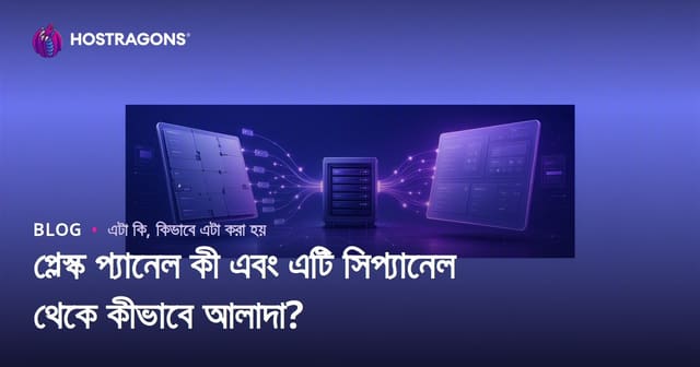 Plesk Panel কী এবং cPanel-এর সাথে মূল পার্থক্য কী?