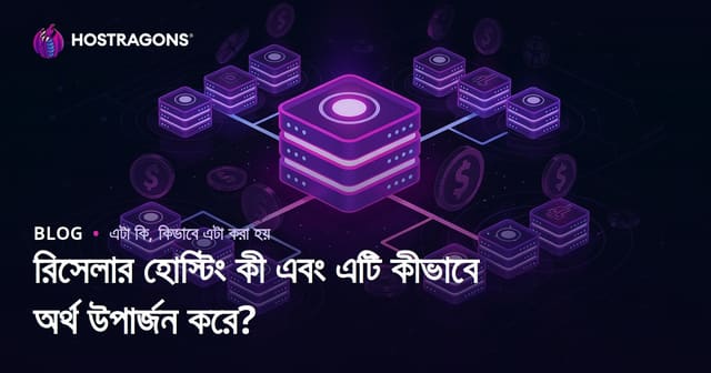 রিসেলার হোস্টিং কী এবং এটি কীভাবে অর্থ উপার্জন করে?