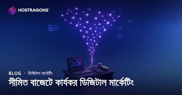 সীমিত বাজেটে কার্যকর ডিজিটাল মার্কেটিং