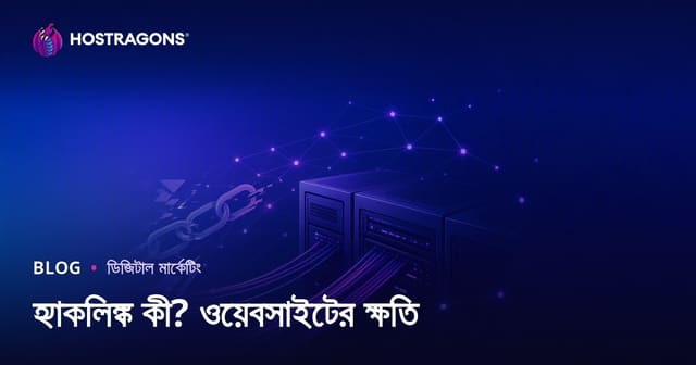 হ্যাকলিংক কী? অবৈধ SEO টেকনিক ওয়েবসাইটের ক্ষতি ও ঝুঁকি