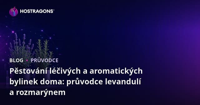 Pěstování léčivých a aromatických bylinek doma: průvodce levandulí a rozmarýnem