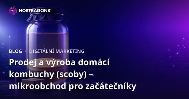 Prodej a výroba domácí kombuchy (scoby) – mikroobchod pro začátečníky